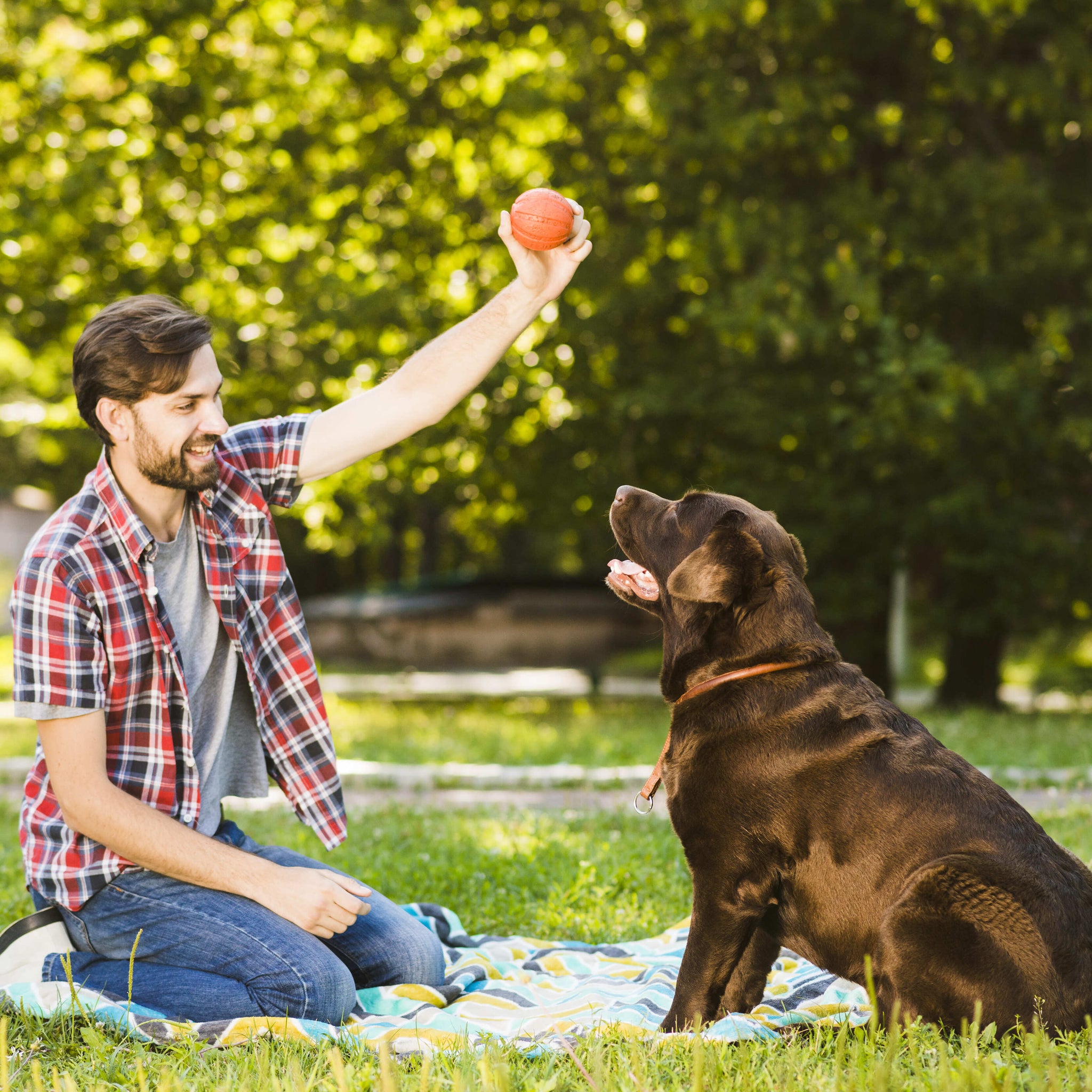 Juegos para perros fáciles y divertidos en cualquier lugar