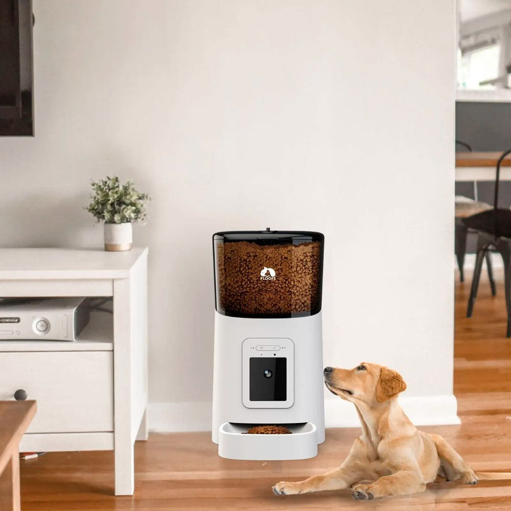 Alimentador Automático con Cámara