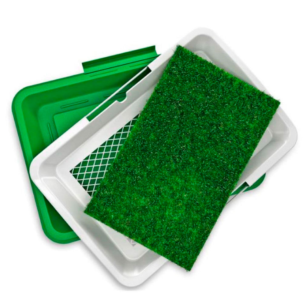 Baño Ecológico para Perros Pequeños