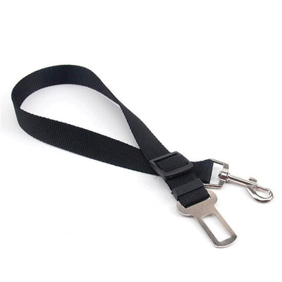 Cinturón de Seguridad