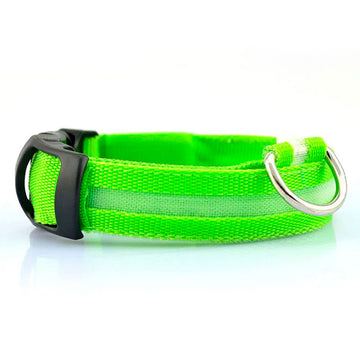 Collar LED