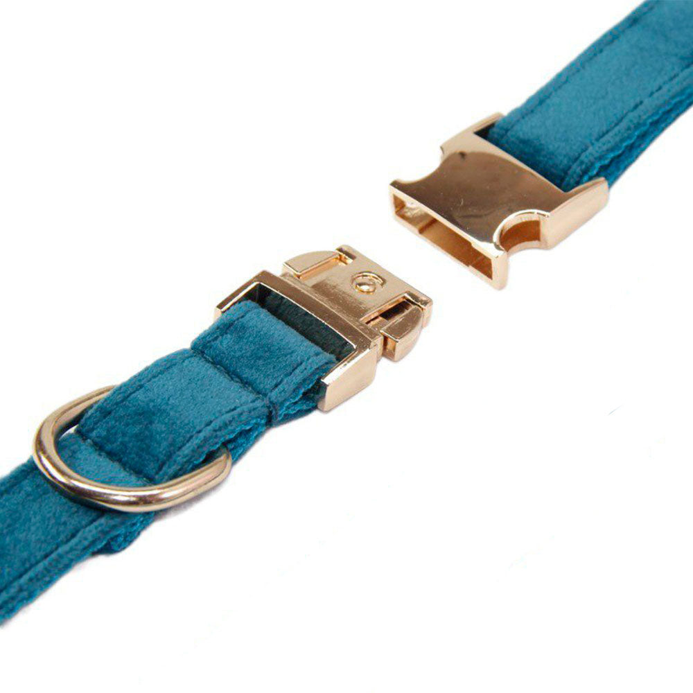 Collar para Mascotas