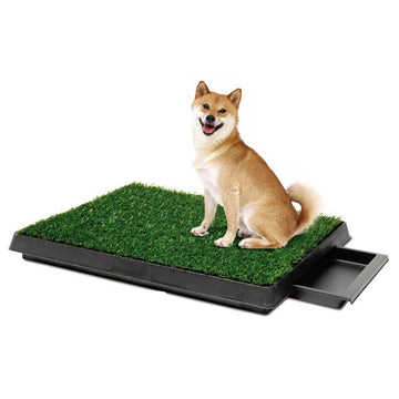 Baño para Perros Grandes