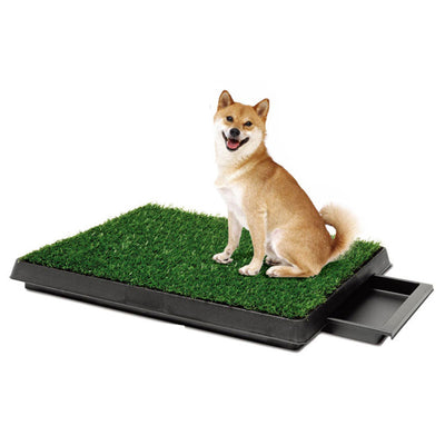 Baño para Perros Grandes