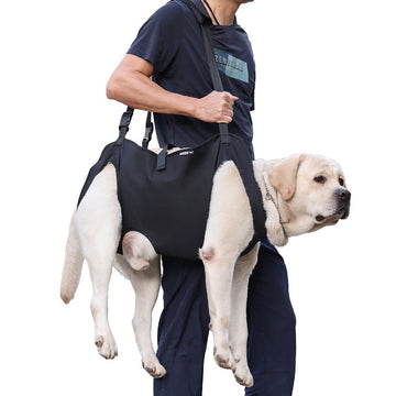 Arnés de Elevación para Perros Grandes
