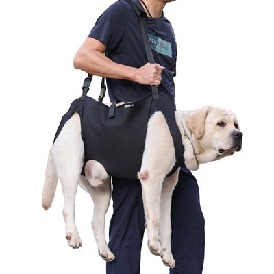 Arnés de Elevación para Perros Grandes