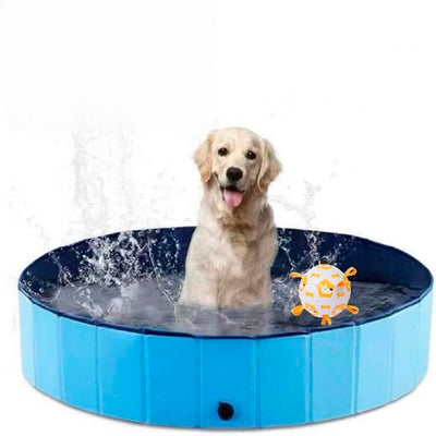 Piscina para Mascotas