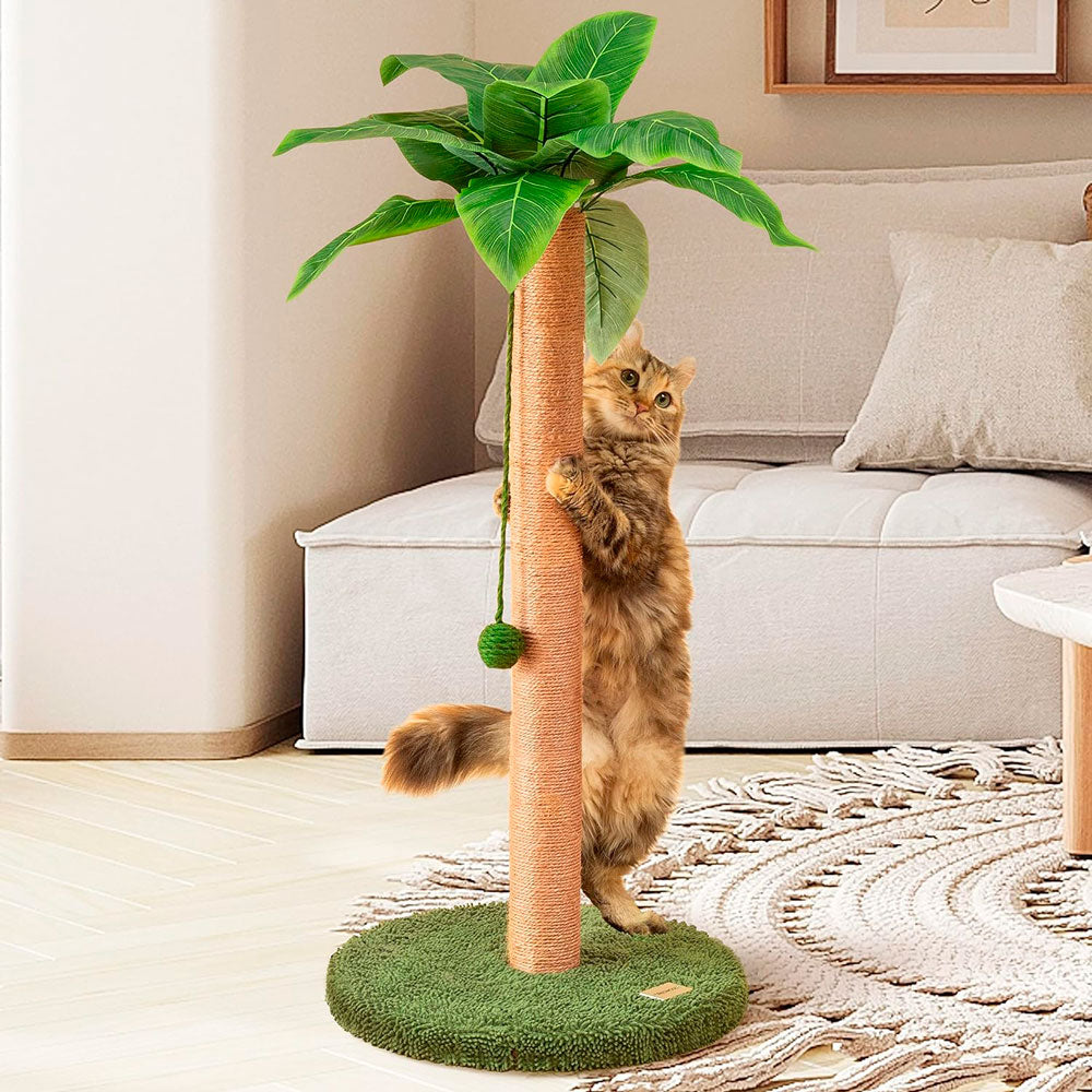 Rascador Palmera